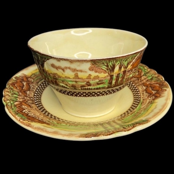 VTG Myott Son & Co. Hanley Englands Countryside Transferware Tea Cup + Saucer - Picture 4 of 8